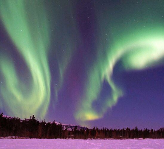 Das Beste aus dem Yukon © Arctic Range Adventures
